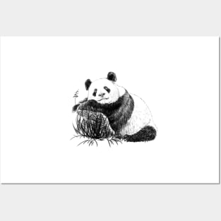 Panda Posters and Art